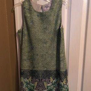 Beautiful Shift dress